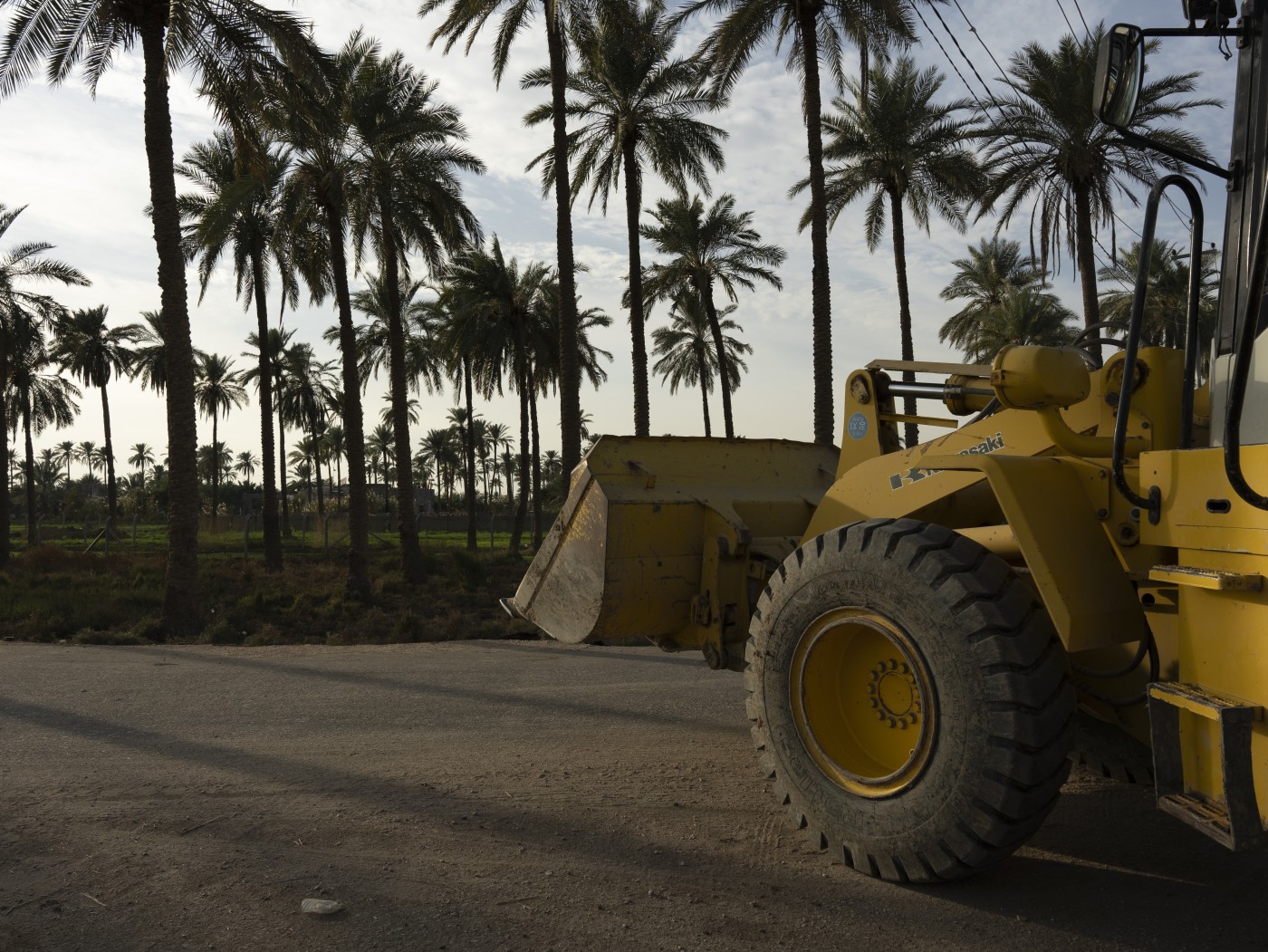 Image of Greed grinds down groves in Iraq’s city of shrines