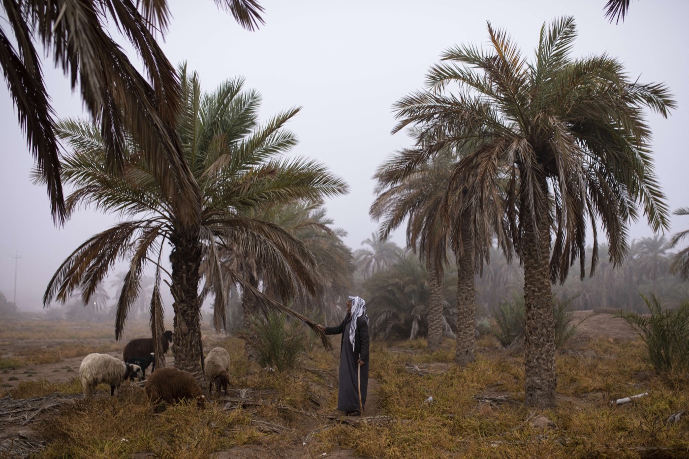 Thi Qar tribal conflicts ‘good for business’ while destroying lives Image