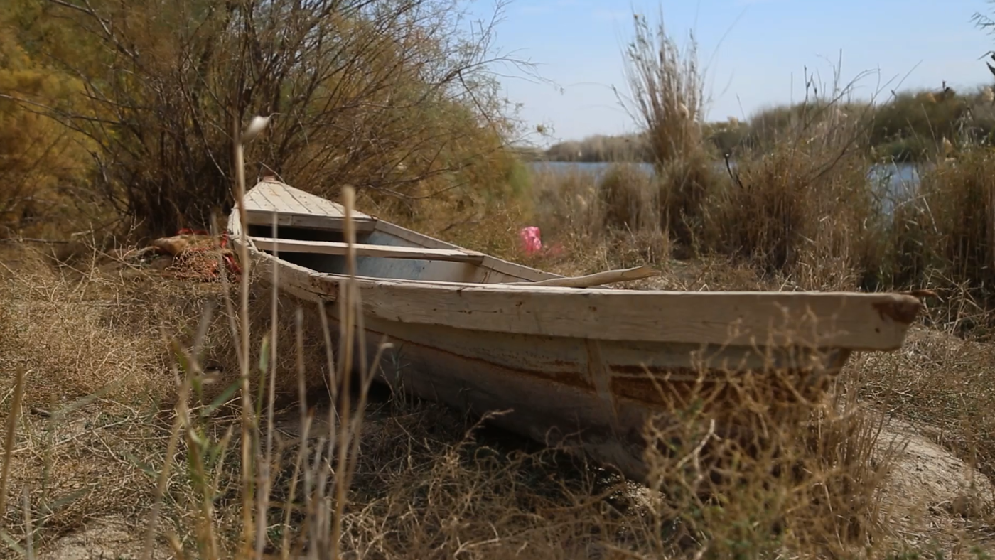 Image of The impact of climate change on Iraq's marshes