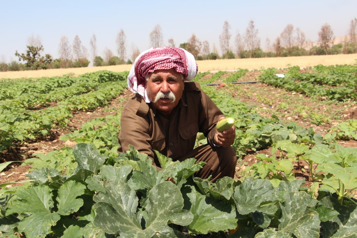 Image of Yazidi IDPs' return to Sinjar contingent on assurances