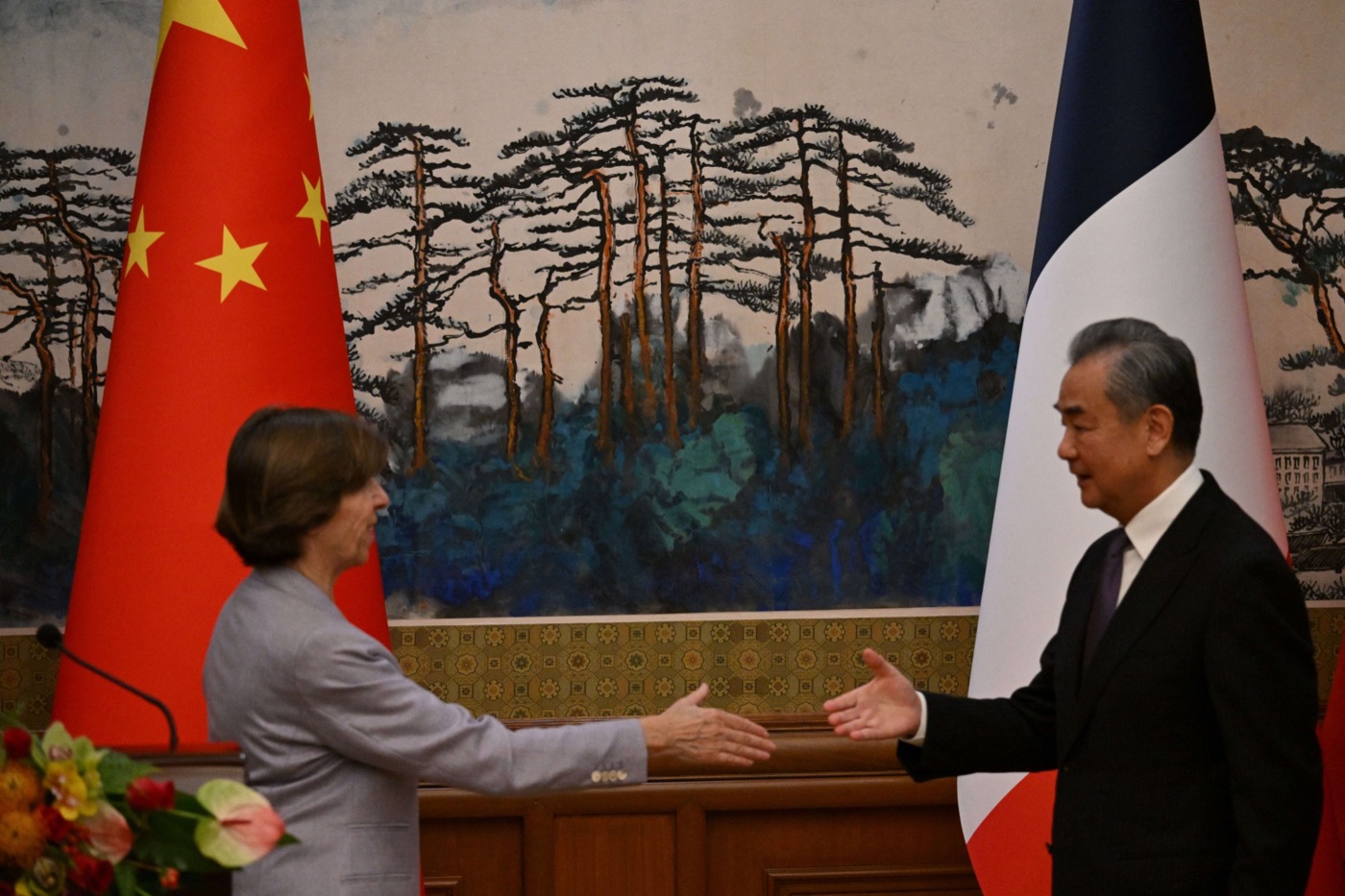 Image of France 'counting on China' to ensure no support for Russia in Ukraine