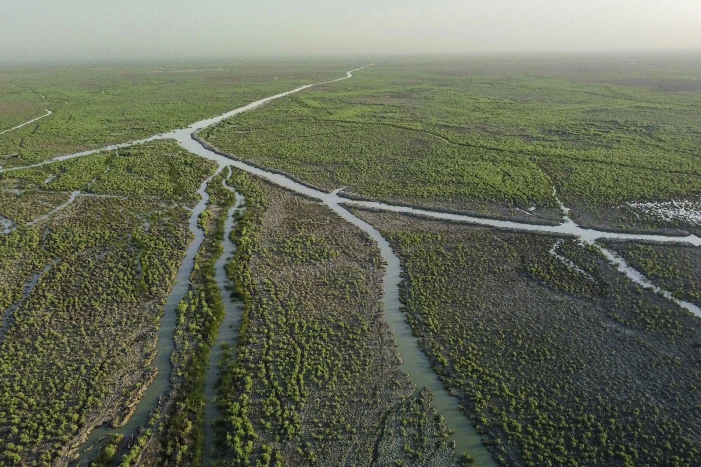 Iraq says recent rain surge revived marshes, increased water reserves