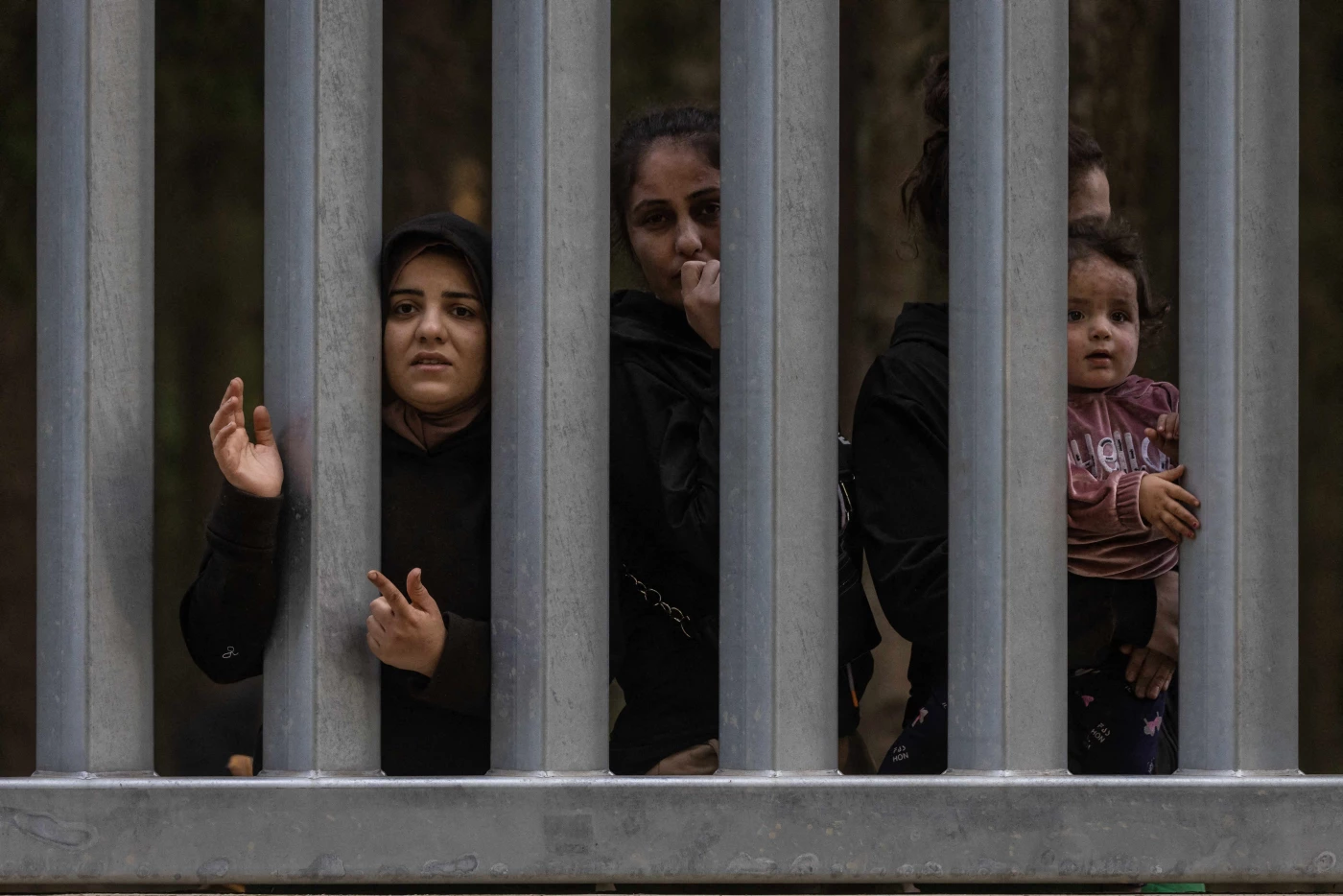 Iraq leads on migration reform Image