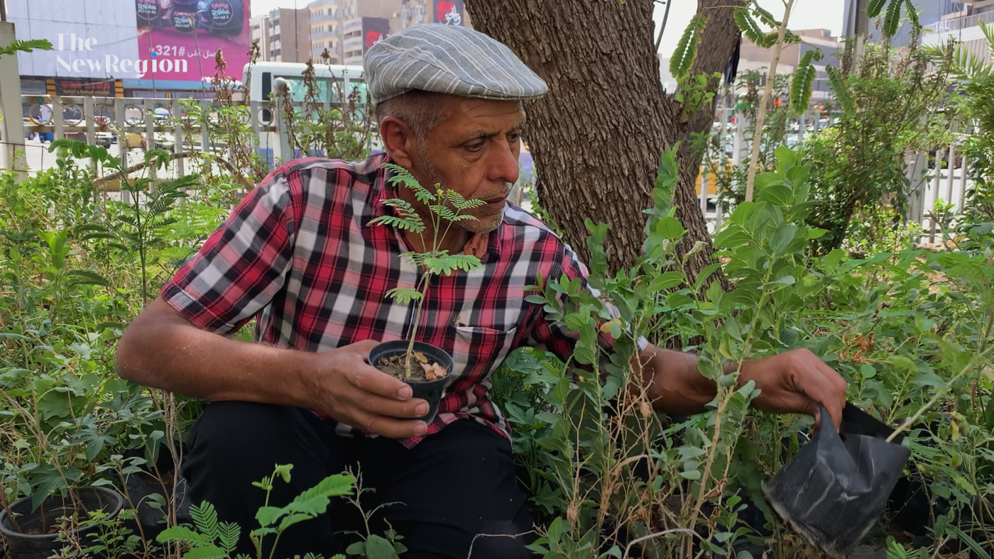Image of A Million Trees Initiative in Iraq 