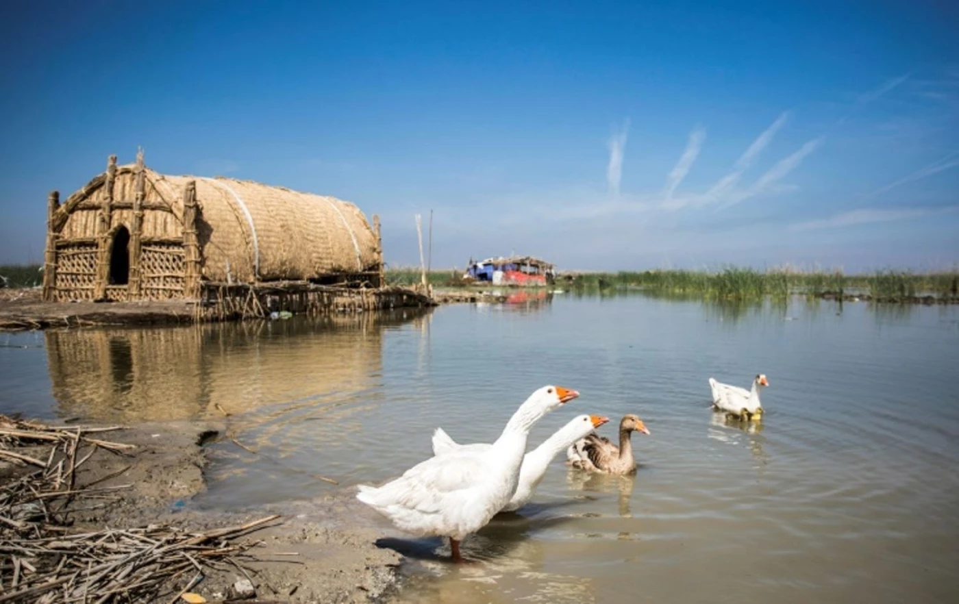 Image of Major water pumping stations to be installed along Iraq’s marshes