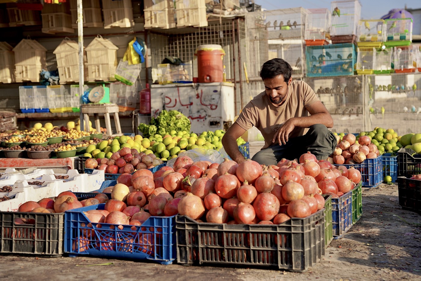 Image of Pomegranates of Diyala