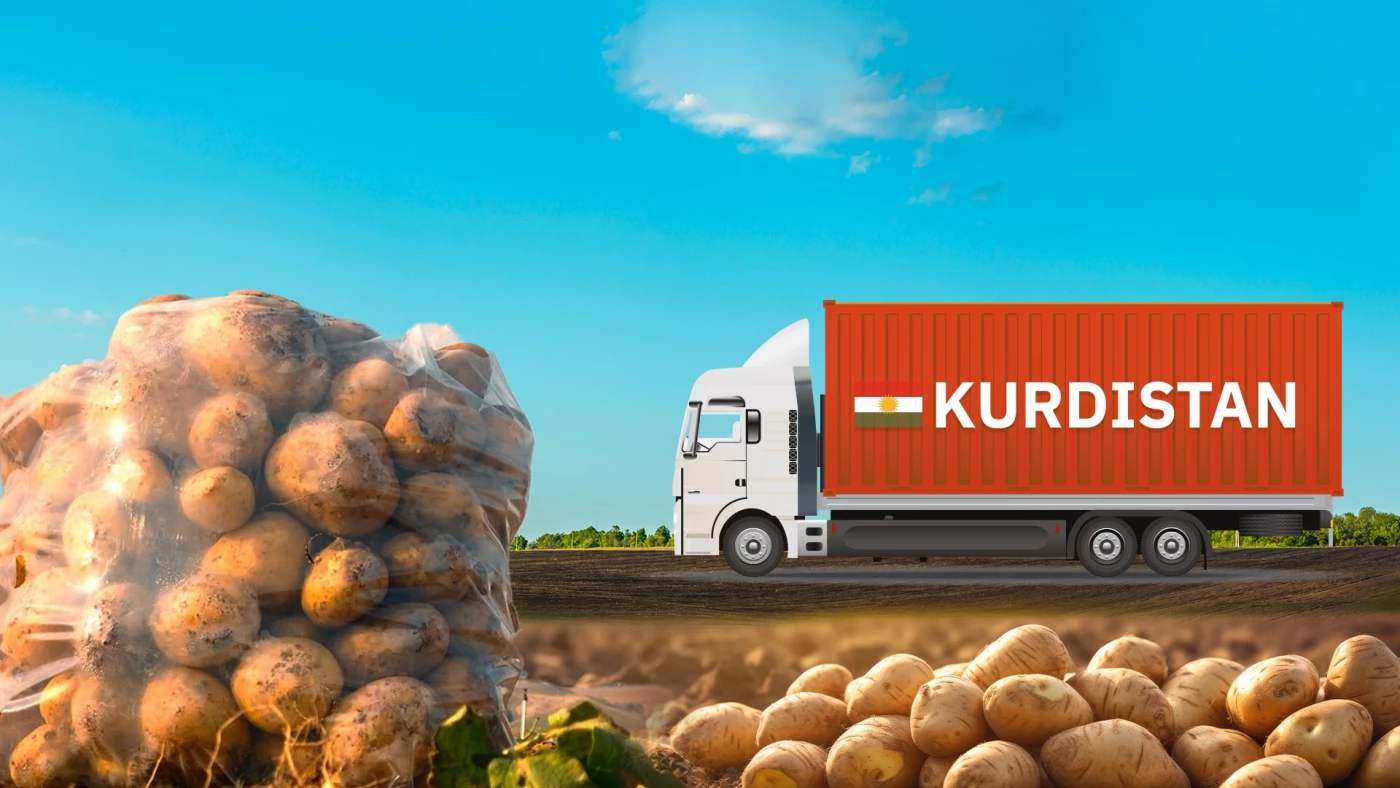 Kurdistan Region begins exporting tons of potatoes to Africa Image