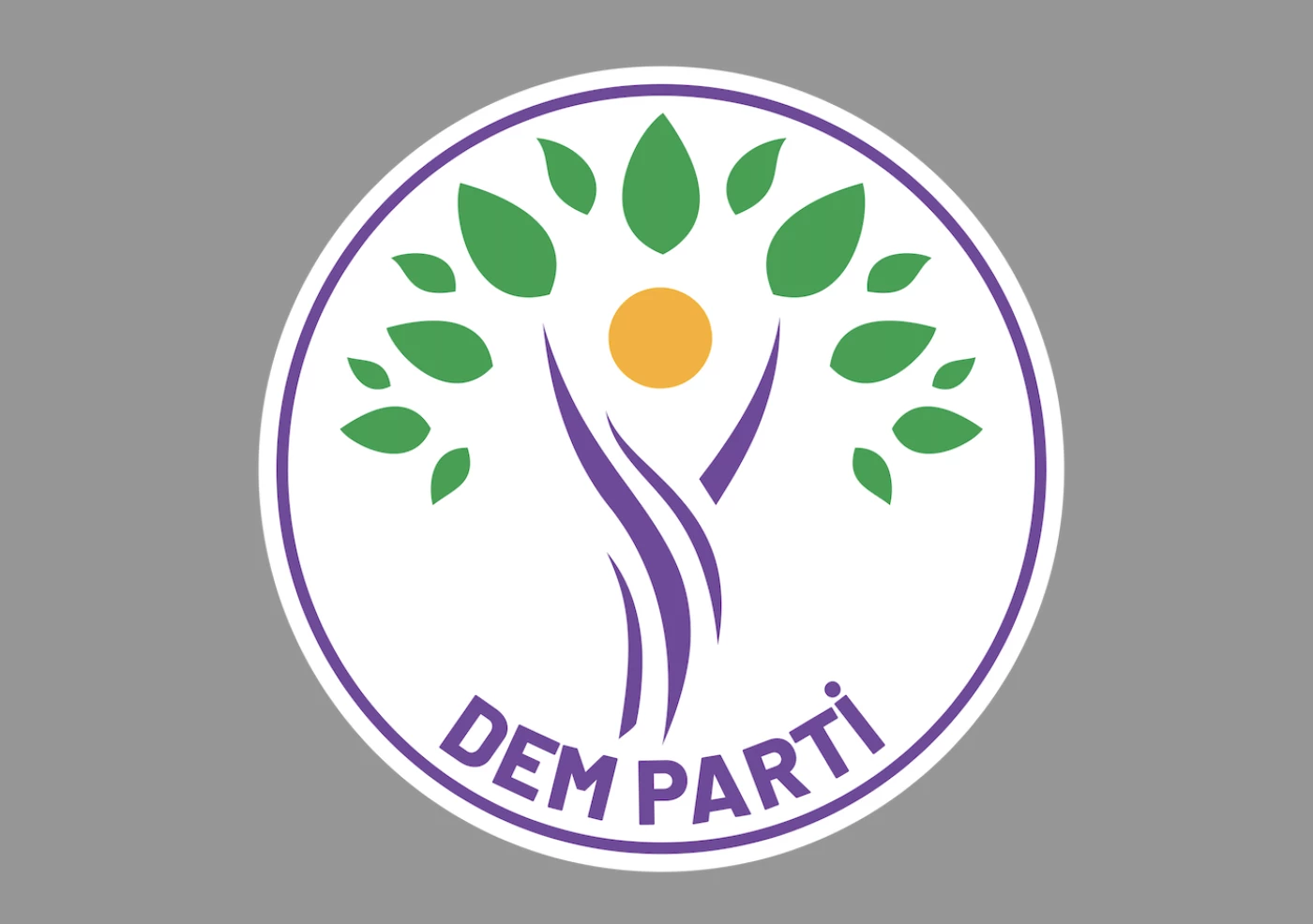Image of Pro-Kurdish DEM party seeks opposition support over mayor removal